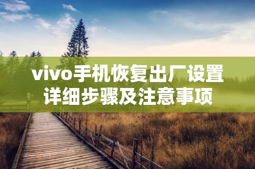 vivo手机恢复出厂设置详细步骤及注意事项