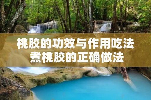 桃胶的功效与作用吃法 煮桃胶的正确做法