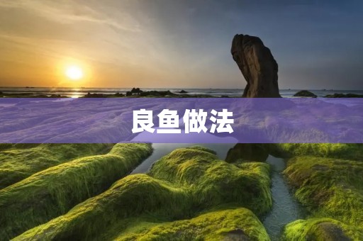 良鱼做法:传统美味的家常佳肴 良鱼做法:传统美味的家常佳肴