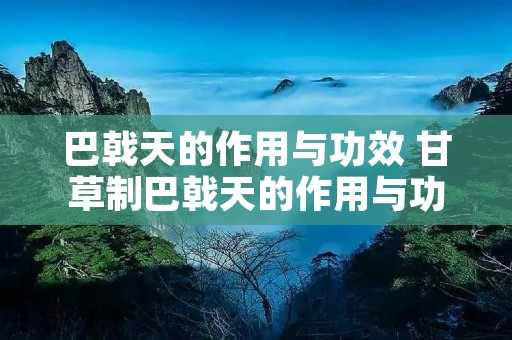 巴戟天的作用与功效 甘草制巴戟天的作用与功效