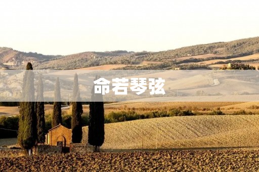 命若琴弦:探索生命的旋律