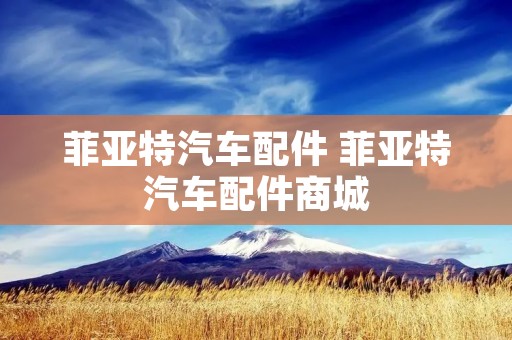 菲亚特汽车配件 菲亚特汽车配件商城 菲亚特汽车配件 菲亚特汽车配件商城