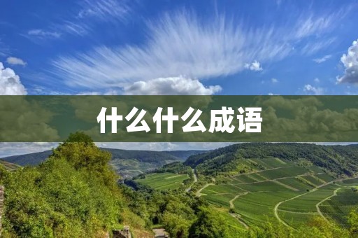什么什么成语：探究成语的来源和演变