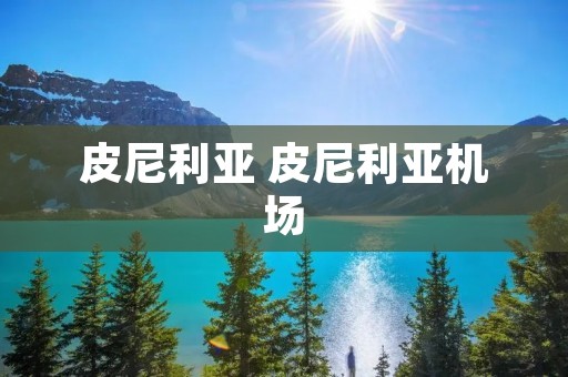 皮尼利亚 皮尼利亚机场