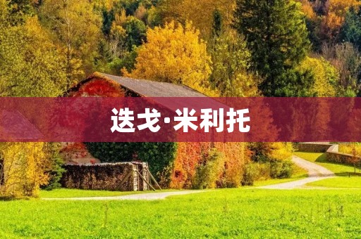 迭戈·米利托：足坛新星的崛起