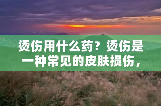 烫伤用什么药?烫伤是一种常见的皮肤损伤,通常由于暴露在高温物体或液体上而引起。烫伤可能会导致疼痛、红肿、水泡和破裂皮肤等症状。及时的处理和使用适当的药物是烫伤伤口愈合和疼痛缓解的关键。本文将详细介绍烫伤的治疗方法和常用的药物。