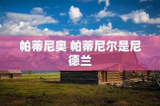 帕蒂尼奥 帕蒂尼尔是尼德兰