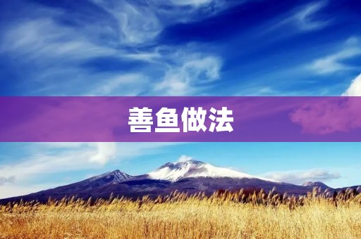 善鱼做法：美味佳肴的制作秘籍