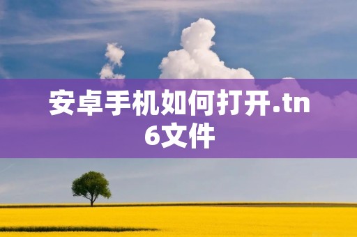 安卓手机如何打开.tn6文件