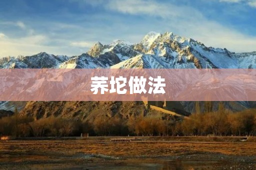 荞坨做法:传统美味的饭后点心 荞坨做法:传统美味的饭后点心