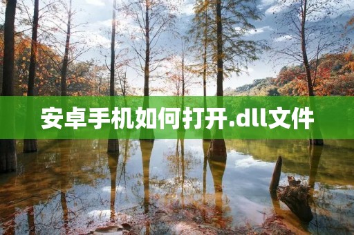 安卓手机如何打开.dll文件