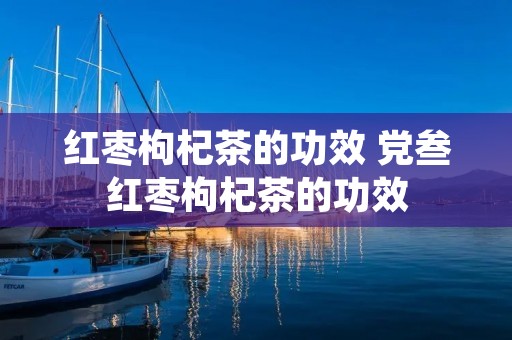 红枣枸杞茶的功效 党叁红枣枸杞茶的功效