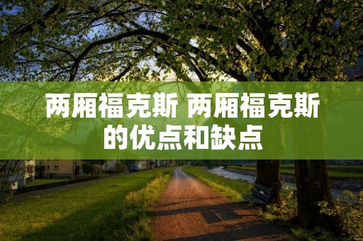 两厢福克斯 两厢福克斯的优点和缺点
