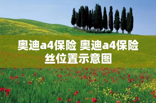 奥迪a4保险 奥迪a4保险丝位置示意图 奥迪a4保险 奥迪a4保险丝位置示意图