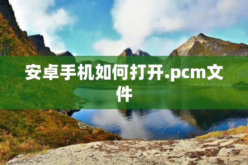安卓手机如何打开.pcm文件