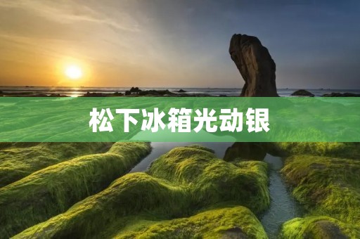 松下冰箱光动银:革新科技的美妙融合 松下冰箱光动银:革新科技的美妙融合