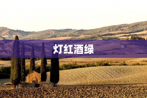 灯红酒绿:都市繁华与人生迷茫