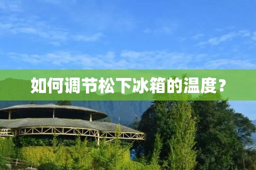 如何调节松下冰箱的温度？