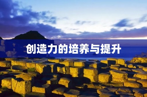 创造力的培养与提升