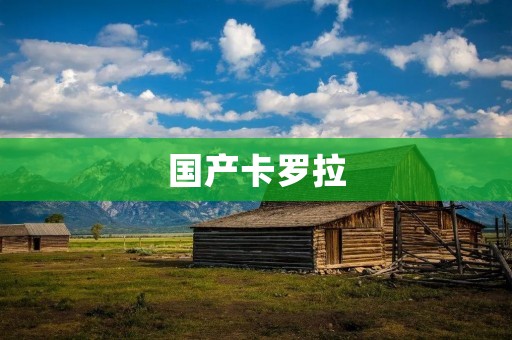 国产卡罗拉:品质升级,驾驭新时代 国产卡罗拉:品质升级,驾驭新时代