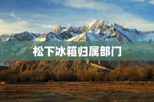 松下冰箱归属部门:详细解析 松下冰箱归属部门:详细解析