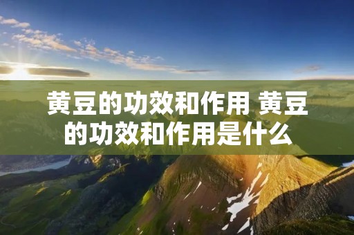 黄豆的功效和作用 黄豆的功效和作用是什么