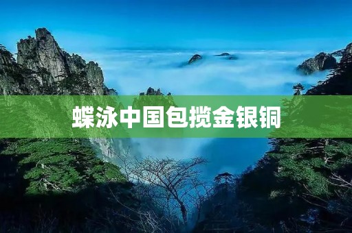 蝶泳中国包揽金银铜