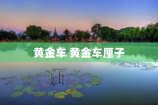 黄金车 黄金车厘子 黄金车 黄金车厘子