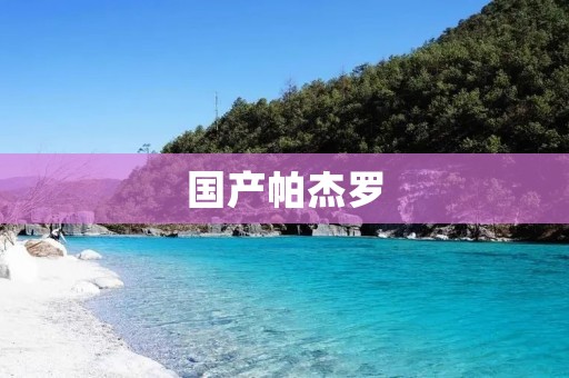 国产帕杰罗:品质卓越的越野王者 国产帕杰罗:品质卓越的越野王者