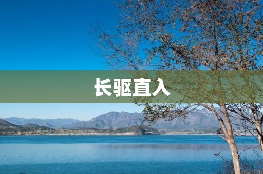 长驱直入:勇往直前,不畏艰险的追求