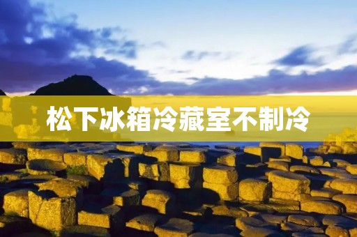 松下冰箱冷藏室不制冷：原因、解决方法及注意事项