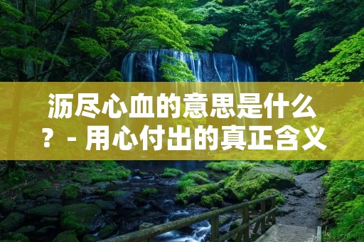 沥尽心血的意思是什么?- 用心付出的真正含义