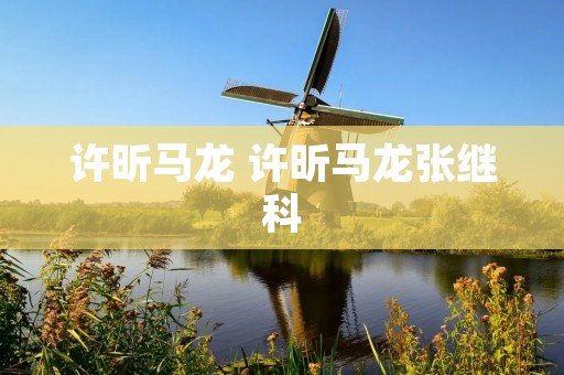 许昕马龙 许昕马龙张继科