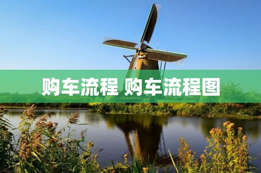 购车流程 购车流程图 购车流程 购车流程图