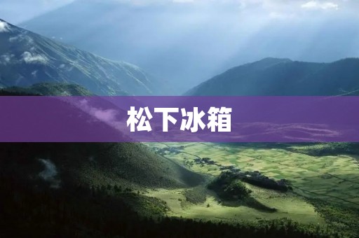 松下冰箱：揭秘贴牌生产背后的真相