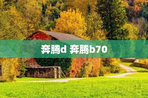 奔腾d 奔腾b70
