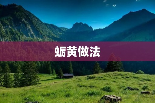 蛎黄做法：美味佳肴的制作技巧与步骤