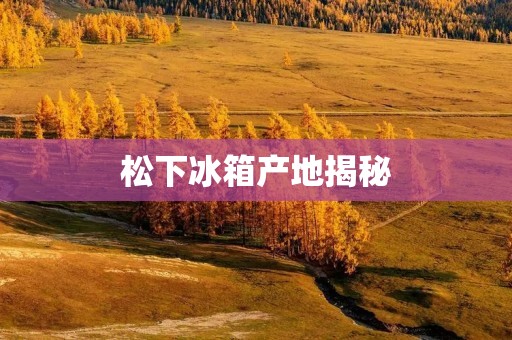 松下冰箱产地揭秘：日本制造的品质保证