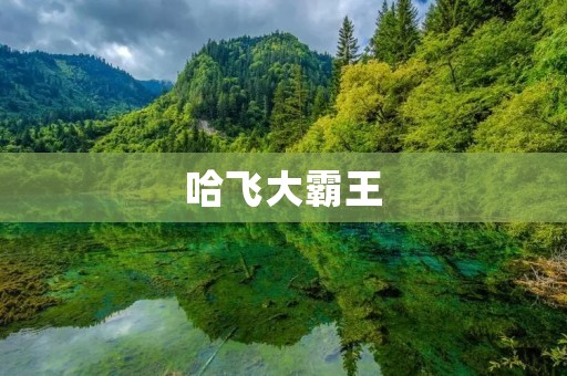 哈飞大霸王:中国汽车行业的一次探索与挑战 哈飞大霸王:中国汽车行业的一次探索与挑战