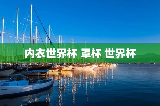 内衣世界杯 罩杯 世界杯