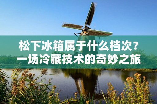 松下冰箱属于什么档次？一场冷藏技术的奇妙之旅