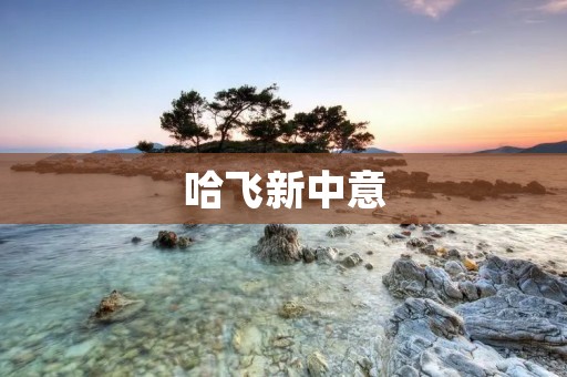 哈飞新中意：中国汽车品牌的崛起与发展