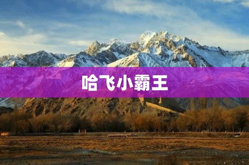 哈飞小霸王：中国汽车业的崛起之路