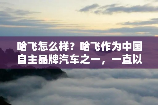 哈飞怎么样？哈飞作为中国自主品牌汽车之一，一直以来备受人们关注。那么，哈飞到底怎么样呢？下面将从品牌历史、车型质量、市场表现等方面进行详细描述。