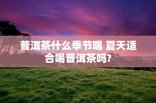 普洱茶什么季节喝 夏天适合喝普洱茶吗?