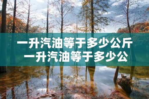 一升汽油等于多少公斤 一升汽油等于多少公斤换算公式