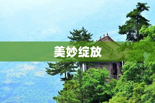 美妙绽放:美字开头的成语