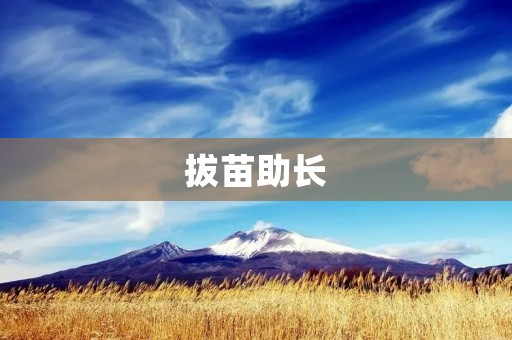 拔苗助长:有效提升个人成长的秘诀