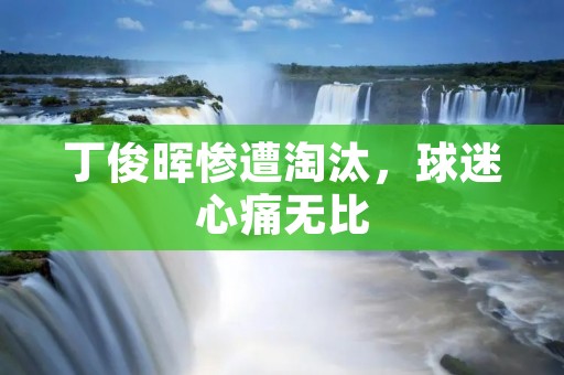 丁俊晖惨遭淘汰,球迷心痛无比 丁俊晖惨遭淘汰,球迷心痛无比
