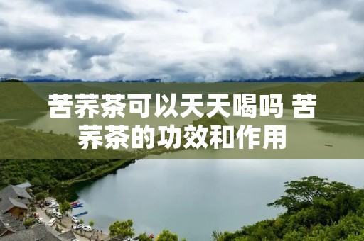 苦荞茶可以天天喝吗 苦荞茶的功效和作用